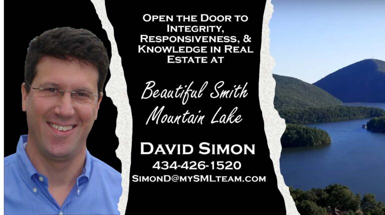 David Simon Logo