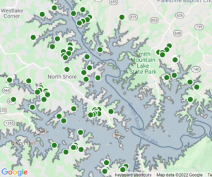 Smith Mountain Lake homes for sale